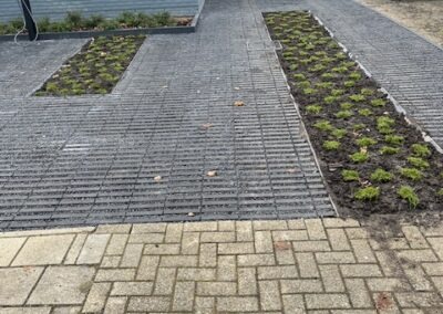 Aanleg privétuin met waterdoorlatende oprit en beplanting - Afbeelding 5