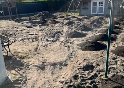 Renovatie gazon - Afbeelding 2