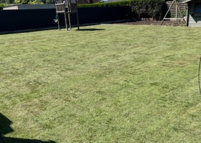 Renovatie gazon - Afbeelding 3