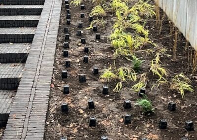 Aanleg en beplanting tuin met irrigatie - afbeelding 3