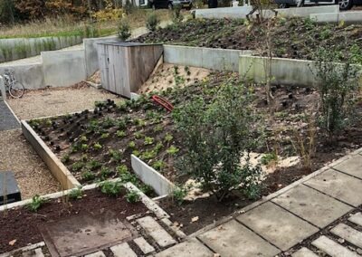 Aanleg en beplanting tuin met irrigatie - afbeelding 4