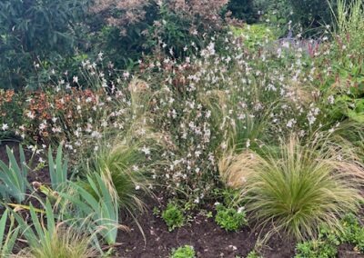 Aanleg en beplanting border, gazon en pad - Afbeelding 3