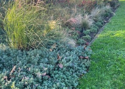 Aanleg en beplanting border, gazon en pad - Afbeelding 4