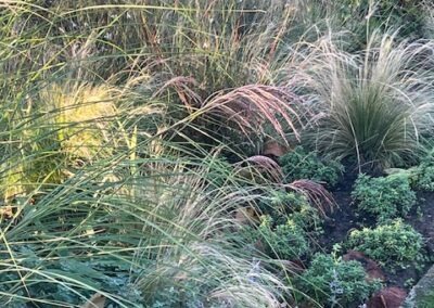 Aanleg en beplanting border, gazon en pad - Afbeelding 5