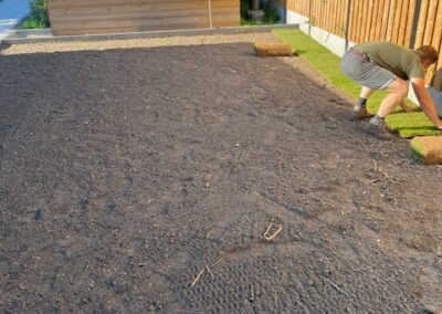 Aanleg en beplanting border, gazon en pad - Afbeelding 6