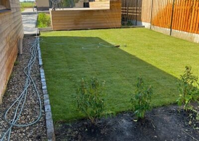 Aanleg en beplanting border, gazon en pad - Afbeelding 7