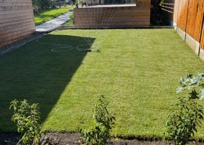 Aanleg en beplanting border, gazon en pad - Afbeelding 8